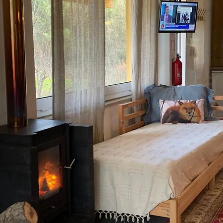 Loft - Casinha A Porta Villa Арока Екстериор снимка